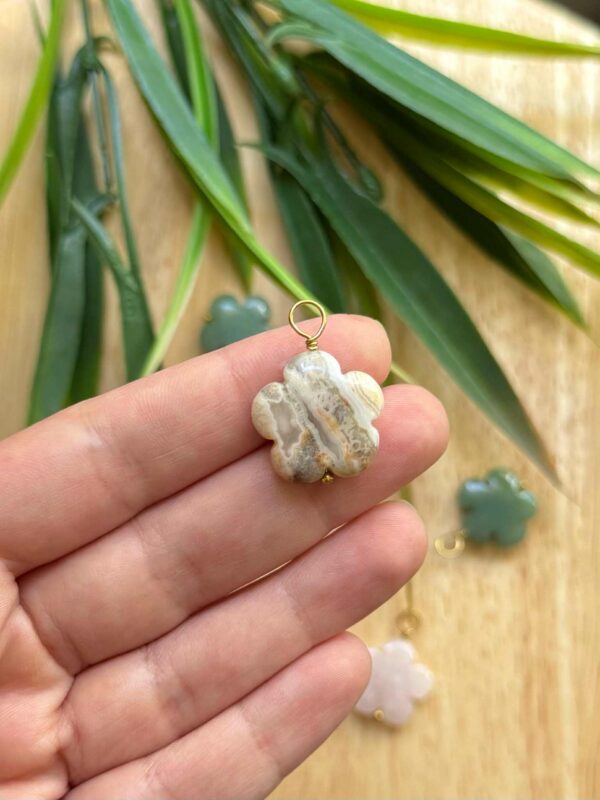 შერეული გულსკიდიები - "DUMPHARA"