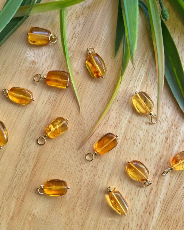 ქარვის გულსაკიდები - "AMBERINNA"